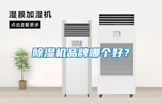 除湿机品牌哪个好？