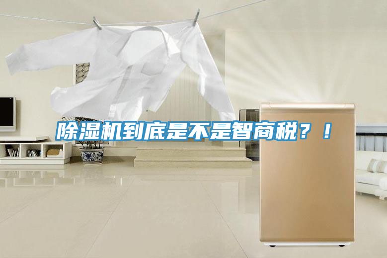 除湿机到底是不是智商税？！