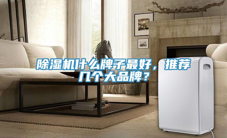 除湿机什么牌子最好，推荐几个大品牌？