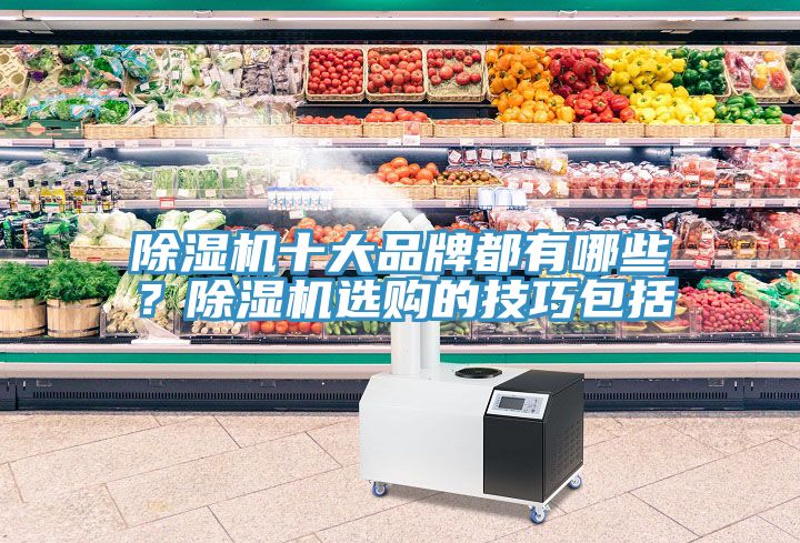 除湿机十大品牌都有哪些？除湿机选购的技巧包括