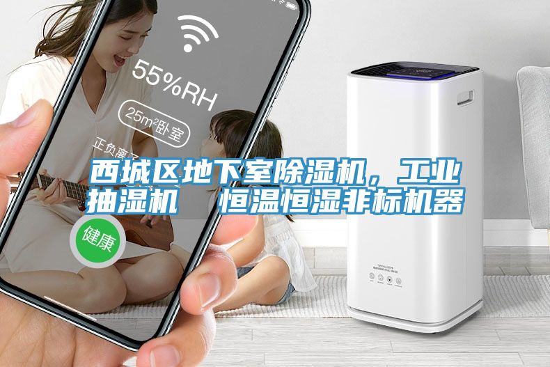 西城区地下室除湿机，工业抽湿机  恒温恒湿非标机器
