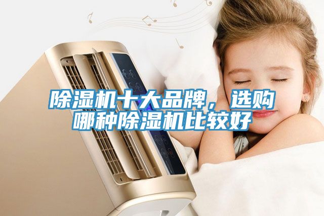 除湿机十大品牌，选购哪种除湿机比较好