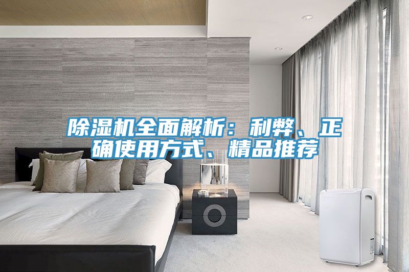 除湿机全面解析：利弊、正确使用方式、精品推荐