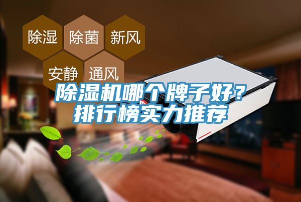 除湿机哪个牌子好？排行榜实力推荐