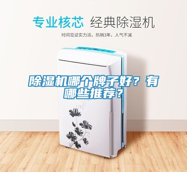 除湿机哪个牌子好？有哪些推荐？