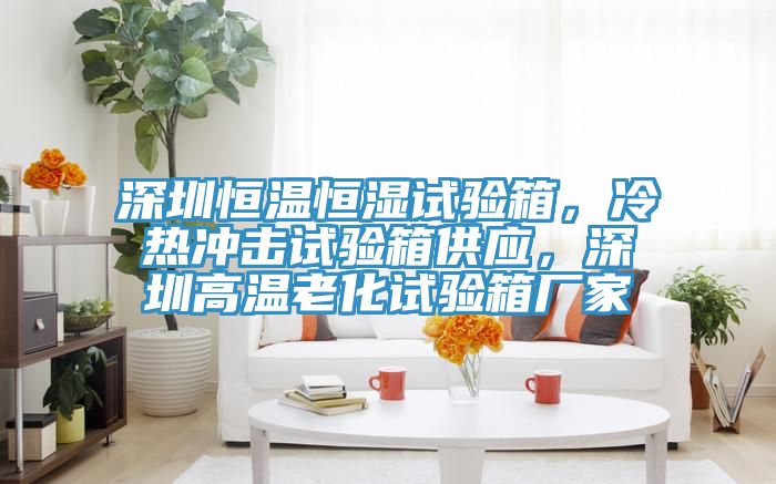 深圳恒温恒湿试验箱，冷热冲击试验箱供应，深圳高温老化试验箱厂家