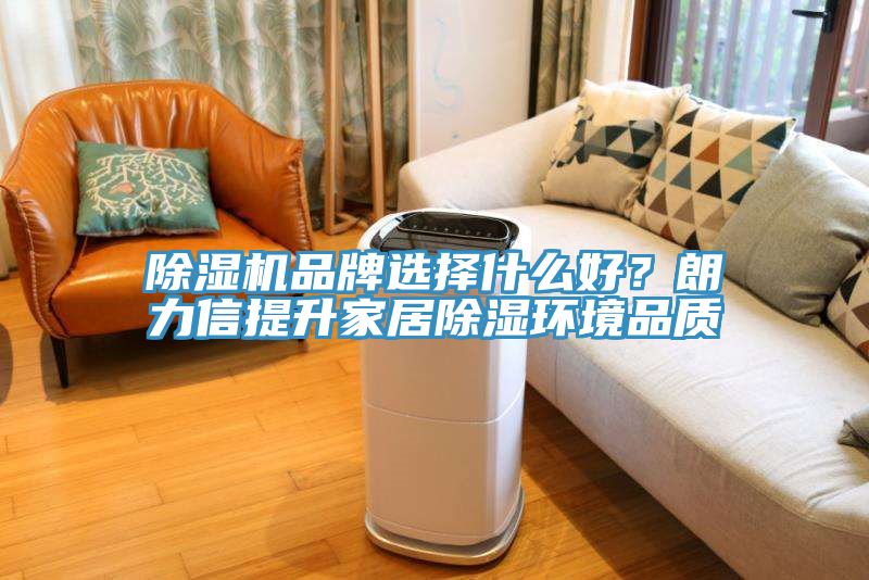 除湿机品牌选择什么好？朗力信提升家居除湿环境品质