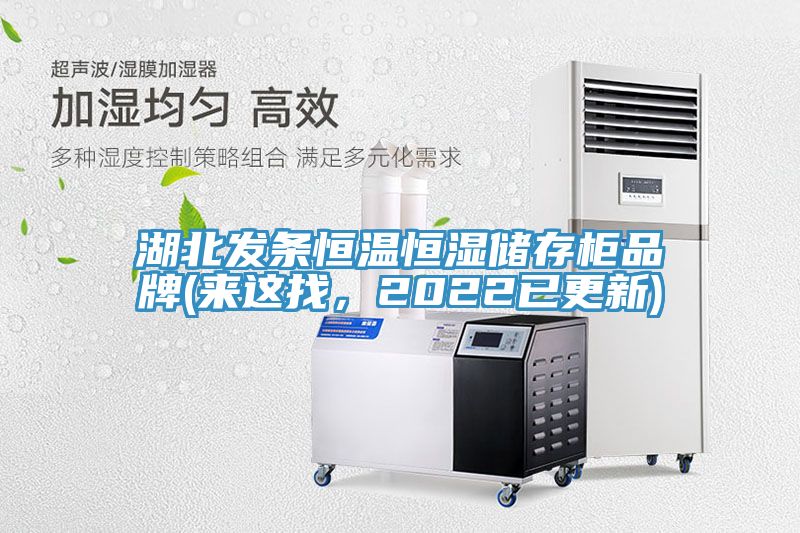 湖北发条恒温恒湿储存柜品牌(来这找，2022已更新)