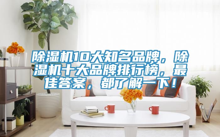 除湿机10大知名品牌，除湿机十大品牌排行榜，最佳答案，都了解一下！