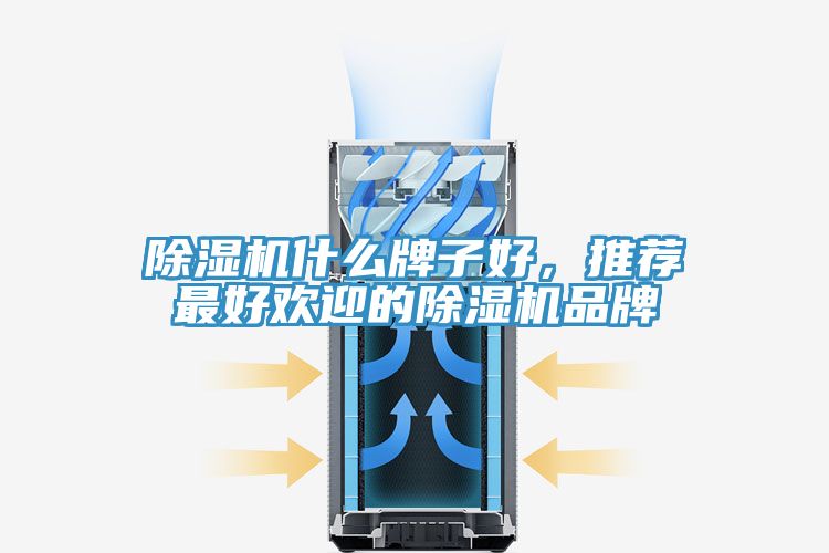 除湿机什么牌子好，推荐最好欢迎的除湿机品牌
