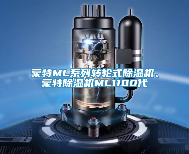 蒙特ML系列转轮式除湿机、蒙特除湿机ML1100代