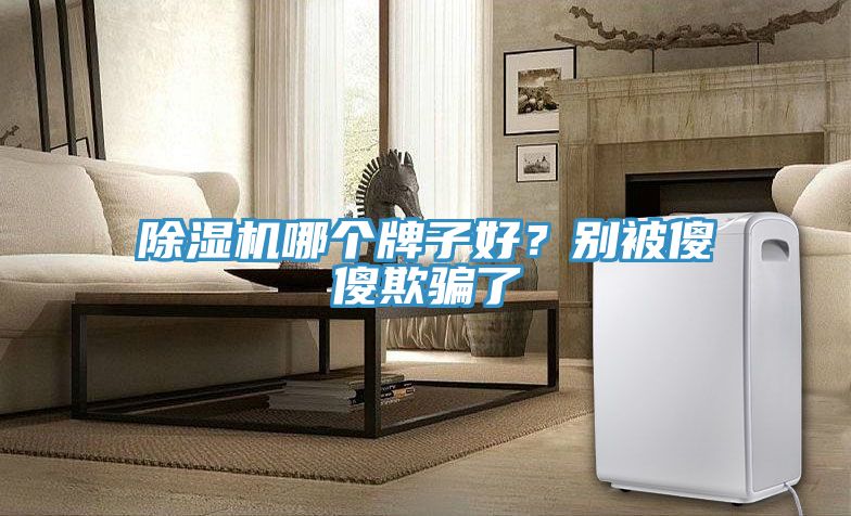 除湿机哪个牌子好？别被傻傻欺骗了