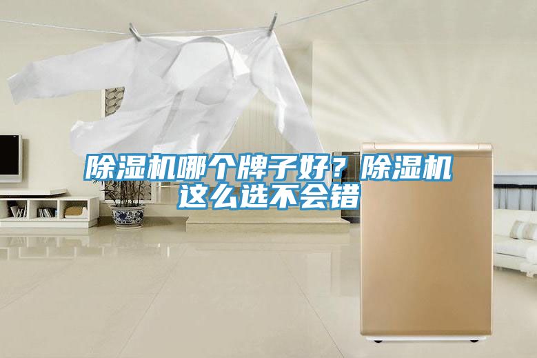 除湿机哪个牌子好？除湿机这么选不会错