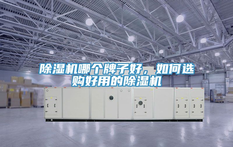 除湿机哪个牌子好，如何选购好用的除湿机