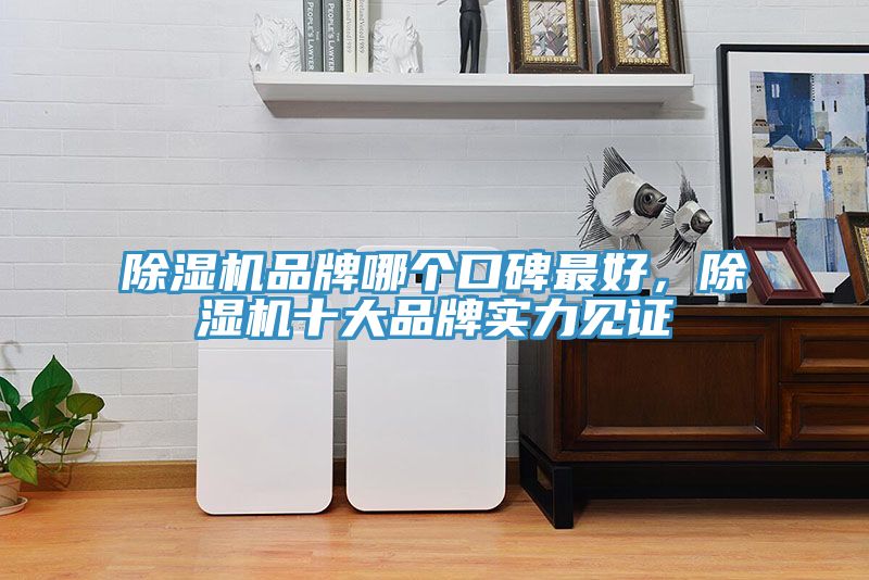 除湿机品牌哪个口碑最好，除湿机十大品牌实力见证