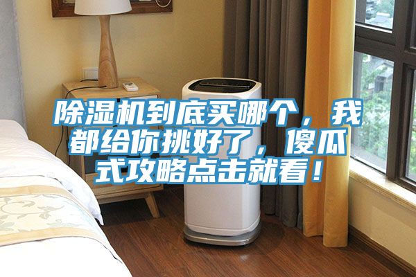 除湿机到底买哪个，我都给你挑好了，傻瓜式攻略点击就看！