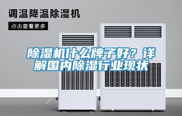 除湿机什么牌子好？详解国内除湿行业现状