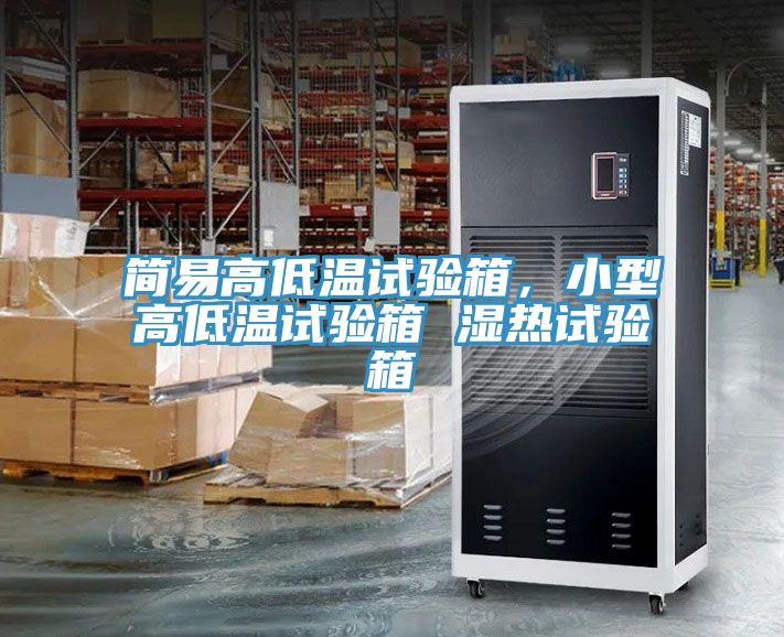 简易高低温试验箱，小型高低温试验箱 湿热试验箱