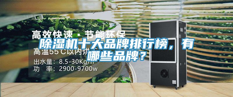 除湿机十大品牌排行榜，有哪些品牌？