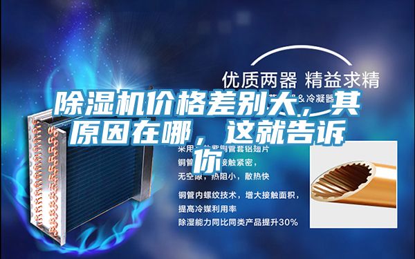 除湿机价格差别大，其原因在哪，这就告诉你