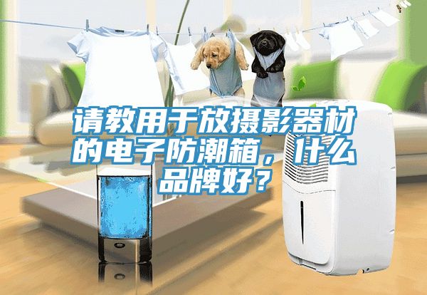 请教用于放摄影器材的电子防潮箱，什么品牌好？