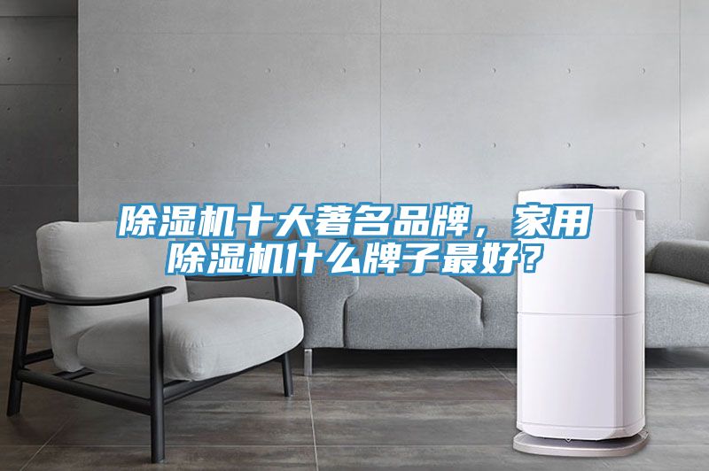 除湿机十大著名品牌，家用除湿机什么牌子最好？