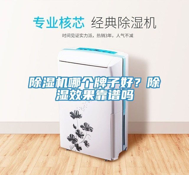 除湿机哪个牌子好？除湿效果靠谱吗