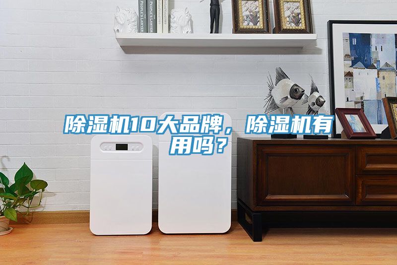 除湿机10大品牌，除湿机有用吗？