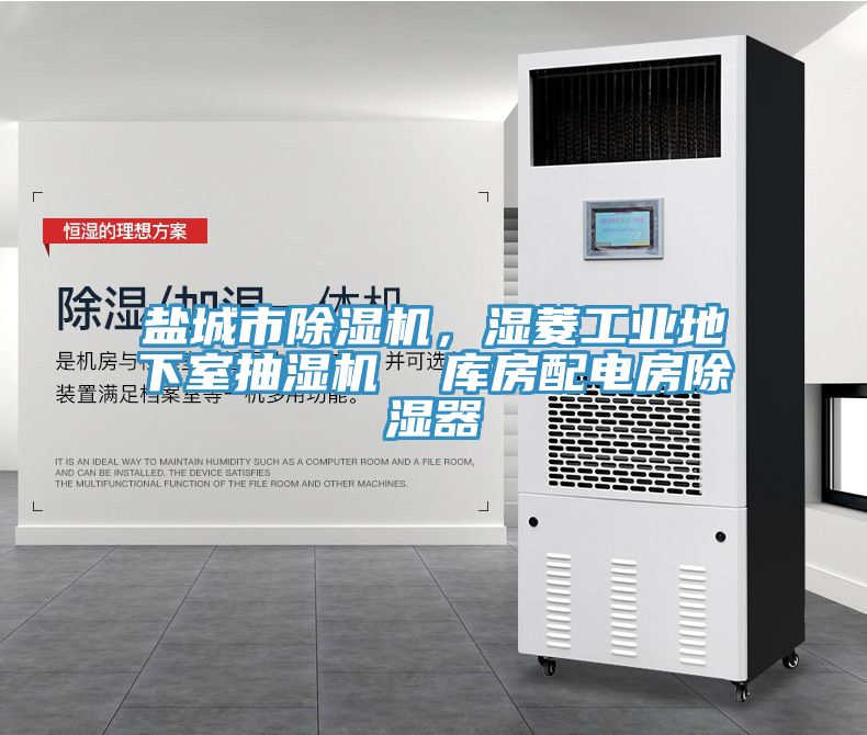 盐城市除湿机，湿菱工业地下室抽湿机  库房配电房除湿器