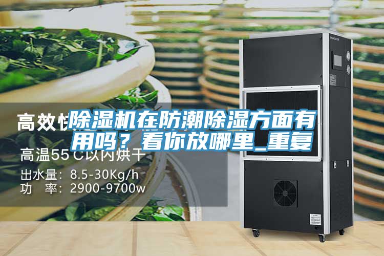 除湿机在防潮除湿方面有用吗？看你放哪里_重复