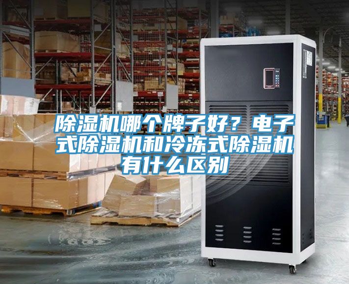 除湿机哪个牌子好？电子式除湿机和冷冻式除湿机有什么区别