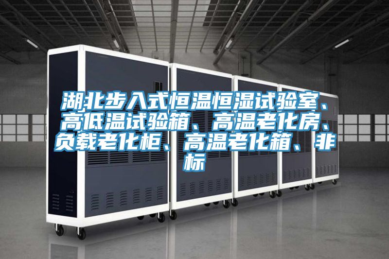 湖北步入式恒温恒湿试验室、高低温试验箱、高温老化房、负载老化柜、高温老化箱、非标