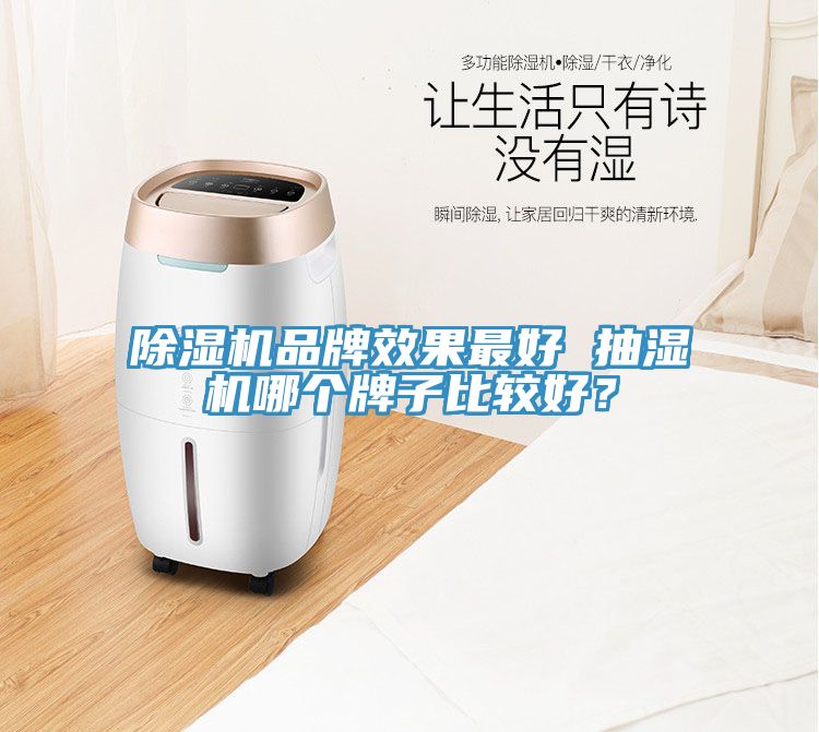 除湿机品牌效果最好 抽湿机哪个牌子比较好？