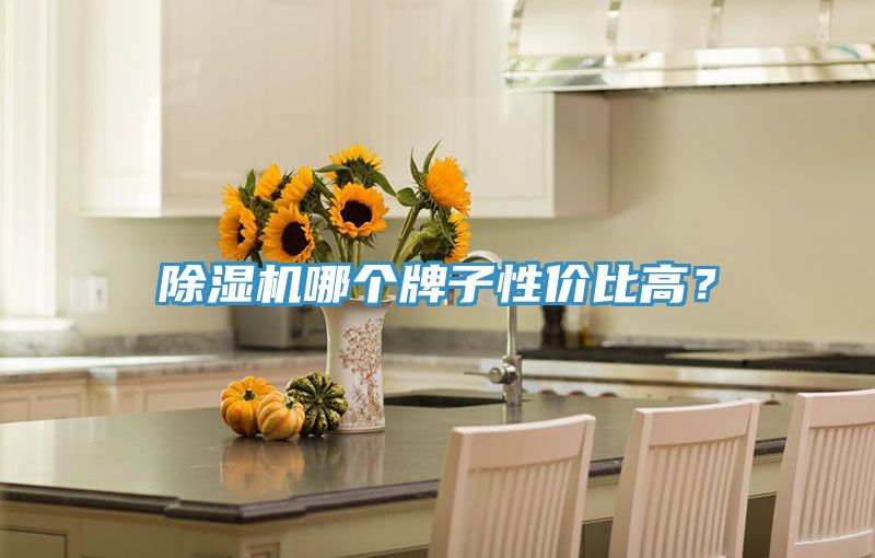 除湿机哪个牌子性价比高？