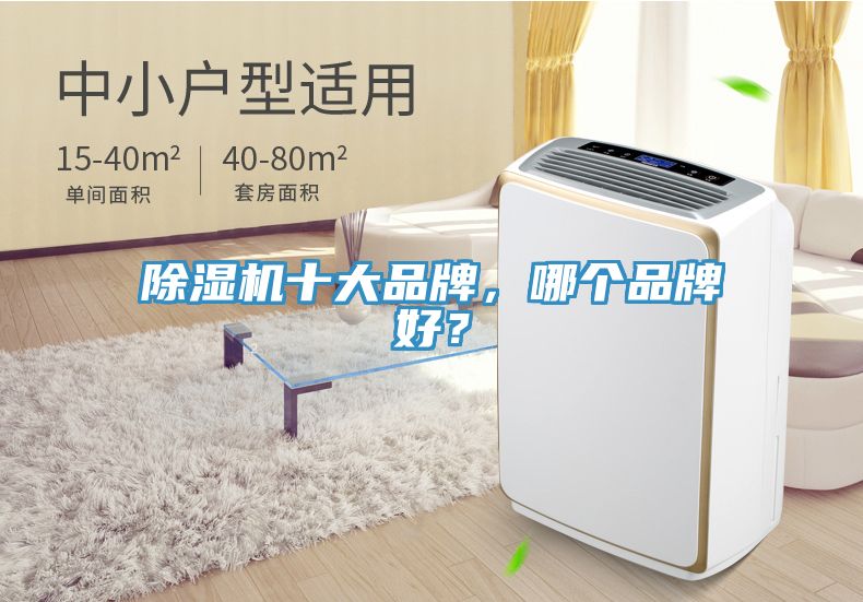 除湿机十大品牌，哪个品牌好？