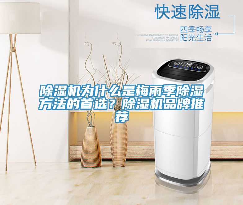 除湿机为什么是梅雨季除湿方法的首??？除湿机品牌推荐