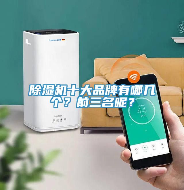 除湿机十大品牌有哪几个？前三名呢？