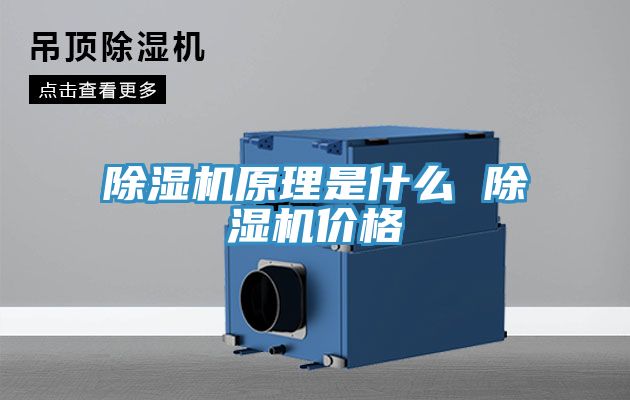 除湿机原理是什么 除湿机价格