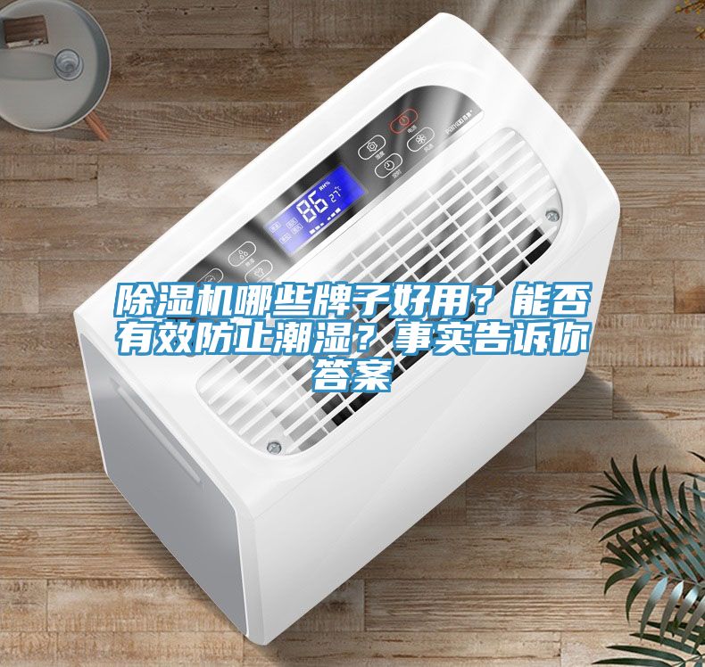 除湿机哪些牌子好用？能否有效防止潮湿？事实告诉你答案