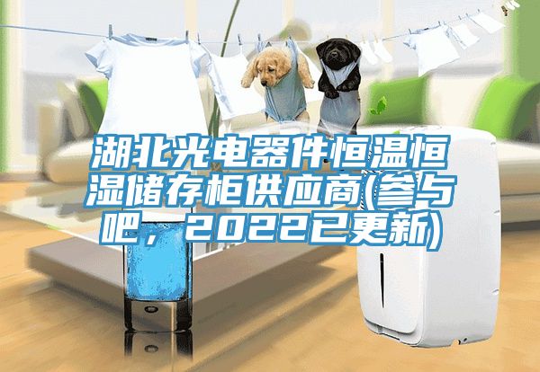 湖北光电器件恒温恒湿储存柜供应商(参与吧，2022已更新)