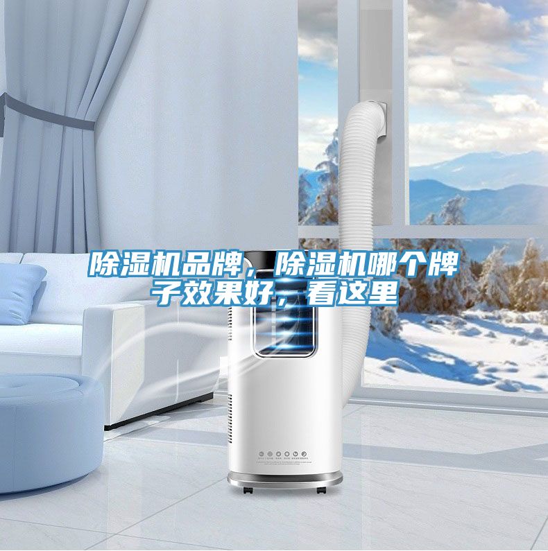 除湿机品牌，除湿机哪个牌子效果好，看这里