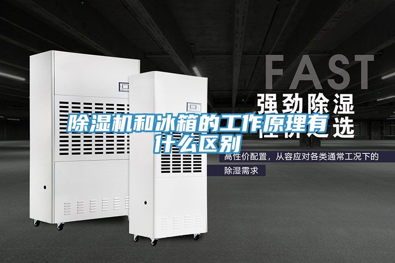 除湿机和冰箱的工作原理有什么区别