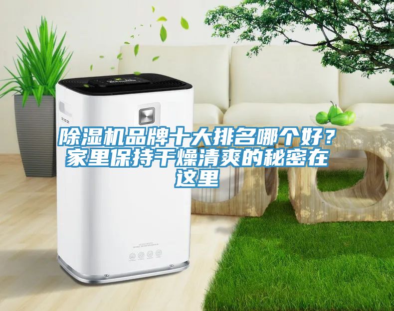 除湿机品牌十大排名哪个好？家里保持干燥清爽的秘密在这里