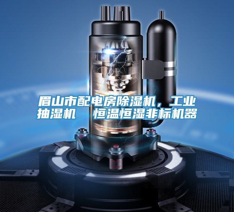 眉山市配电房除湿机，工业抽湿机  恒温恒湿非标机器