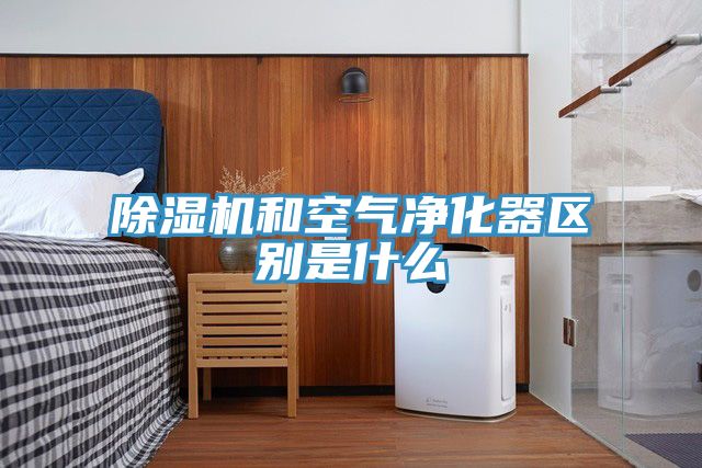 除湿机和空气净化器区别是什么