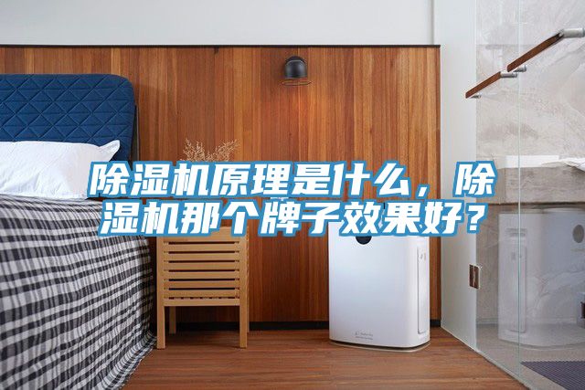 除湿机原理是什么，除湿机那个牌子效果好？
