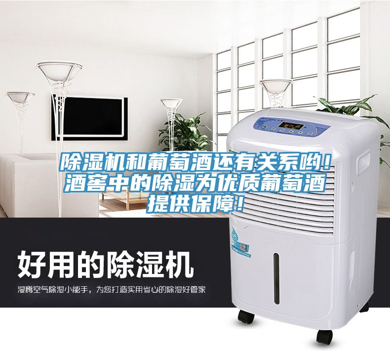 除湿机和葡萄酒还有关系哟！酒窖中的除湿为优质葡萄酒提供保障！