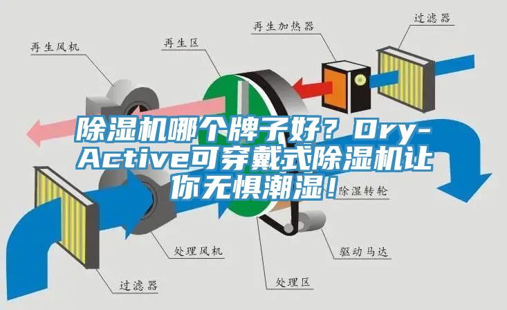 除湿机哪个牌子好？Dry-Active可穿戴式除湿机让你无惧潮湿！