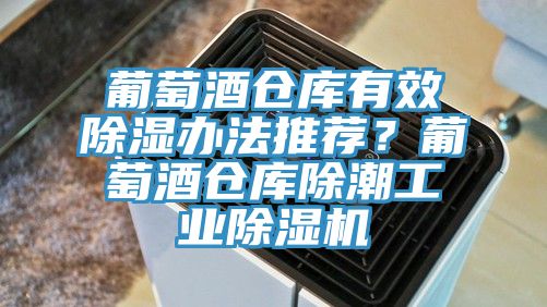葡萄酒仓库有效除湿办法推荐？葡萄酒仓库除潮工业除湿机