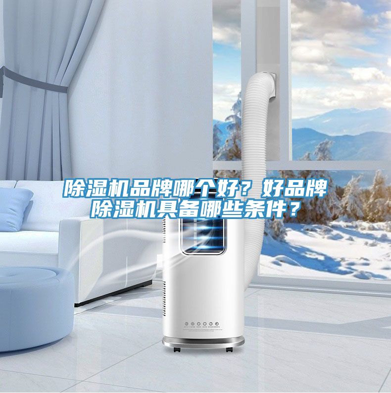 除湿机品牌哪个好？好品牌除湿机具备哪些条件？